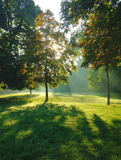 Romantische Picknick im wiener Prater